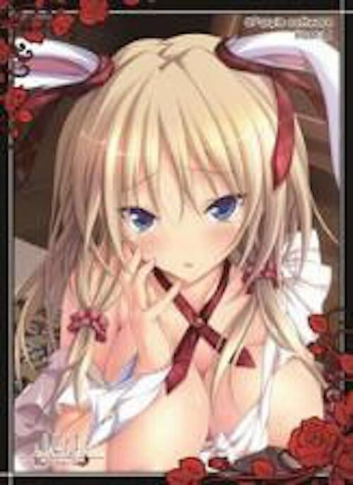 Image for Nexnet Girls Sleeve Collection Vol.038: Hapymaher - Yayoi (60-Pack) - Card Sleeves