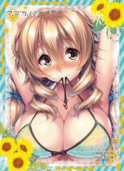 Image for NEXTON Girls Sleeve Collection Vol.068: Amakano+ - Koharu Hoshikawa B (60-Pack) - Card Sleeves
