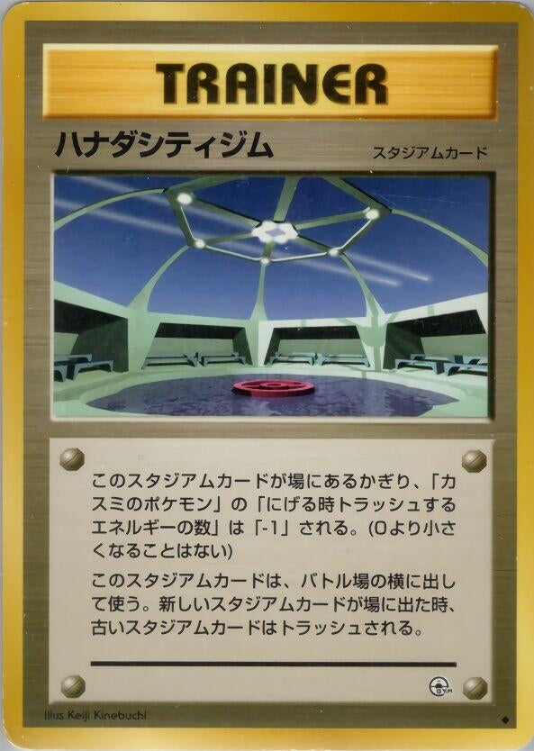 Image for Cerulean City Gym (Leaders' Stadium) - Pokemon Japan