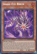 Snake-Eye Birch (MP24-EN112)