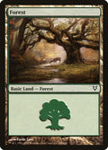 Image for Forest (244) (244) (Avacyn Restored) - Magic: The Gathering