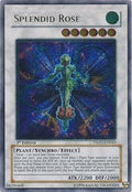 Image for Splendid Rose (UTR) (TSHD-EN043) (TSHD) - YuGiOh