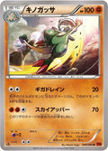 Breloom (048/096) (XY3: Rising Fist)