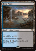 Image for Fetid Pools (156) (Aetherdrift) - Magic: The Gathering