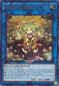 Image for Traptrix Sera (UR) (RA04-EN075) - YuGiOh