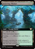 Image for Festering Thicket (Extended Art) (41) (Edge of Eternities) - Magic: The Gathering