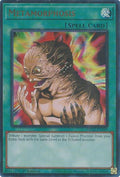 Image for Metamorphosis (MP25-EN299) (MP25) - YuGiOh