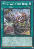 Whirlwind Fur Hire (BPRO-EN062) (Burst Protocol)