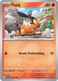 Tepig (029/217) (ME: Ascended Heroes)