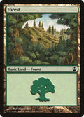 Image for Forest (246) (246) (Theros) - Magic: The Gathering