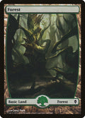 Image for Forest (247) - Full Art (247) (Zendikar) - Magic: The Gathering