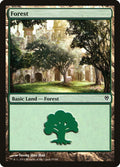 Image for Forest (85) (85) (Jace vs. Vraska) - Magic: The Gathering