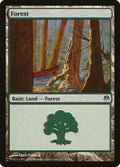 Image for Forest (71) (71) (Phyrexia vs. the Coalition) - Magic: The Gathering