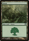 Image for Forest (166) (166) (Planechase) - Magic: The Gathering