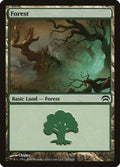 Image for Forest (167) (167) (Planechase) - Magic: The Gathering