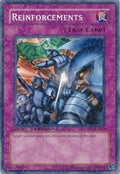 Reinforcements (DTP1-EN019) (DTP1)