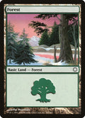 Image for Forest (383) (383) (Coldsnap Theme Deck Reprints) - Magic: The Gathering