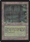 Image for Bayou (Beta Edition) - Magic: The Gathering