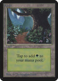 Image for Forest (B) (Alpha Edition) - Magic: The Gathering