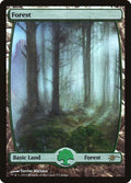Image for Forest - Full Art (5) (5) (Judge Promos) - Magic: The Gathering