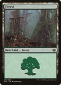 Image for Forest (029) (GVL) (29) (Anthology) - Magic: The Gathering
