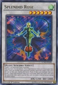 Image for Splendid Rose (LC5D-EN100) (LC05) - YuGiOh