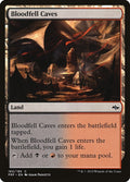 Image for Bloodfell Caves (165) (Fate Reforged) - Magic: The Gathering