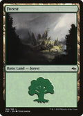 Image for Forest (184) (184) (Fate Reforged) - Magic: The Gathering