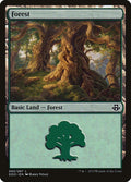 Image for Forest (065) (65) (Elspeth vs. Kiora) - Magic: The Gathering