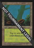 Image for Forest (A) (IE) (280) (International Edition) - Magic: The Gathering