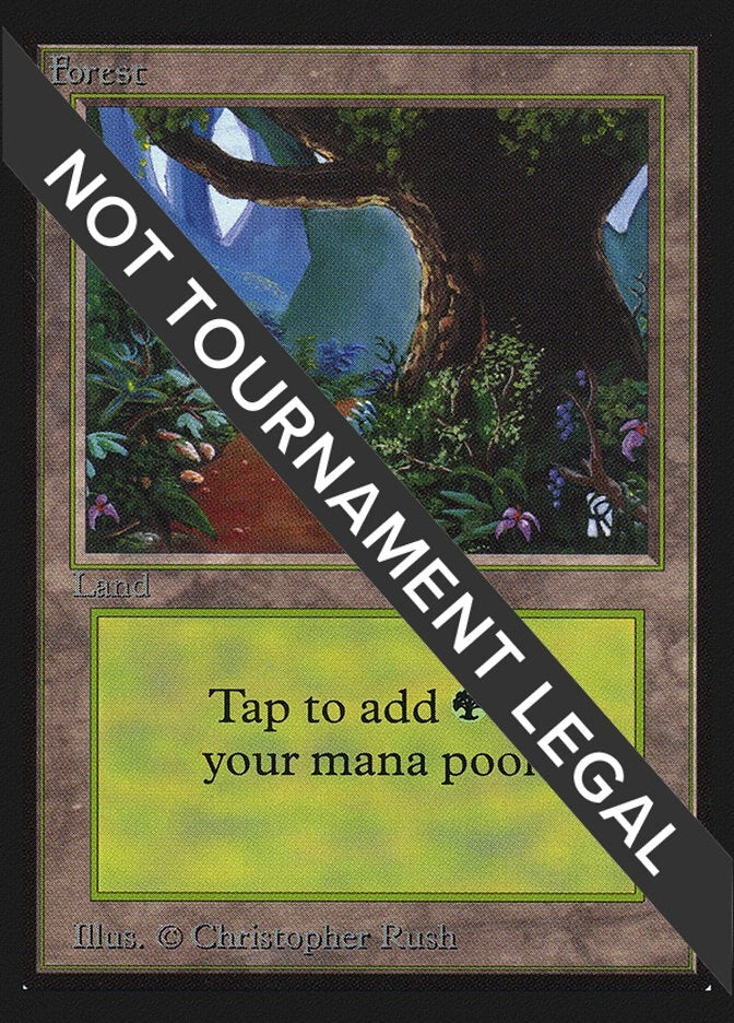 Image for Forest (B) (IE) (281) (International Edition) - Magic: The Gathering