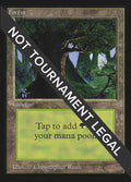 Image for Forest (C) (IE) (282) (International Edition) - Magic: The Gathering