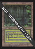 Image for Bayou (CE) (Collector's Edition) - Magic: The Gathering
