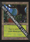 Image for Forest (B) (CE) (281) (Collector's Edition) - Magic: The Gathering